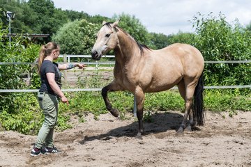 Bild 188 - Vivi